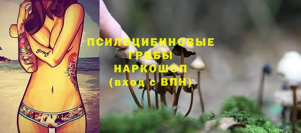 СК Алексин