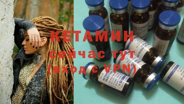 СК Алексин