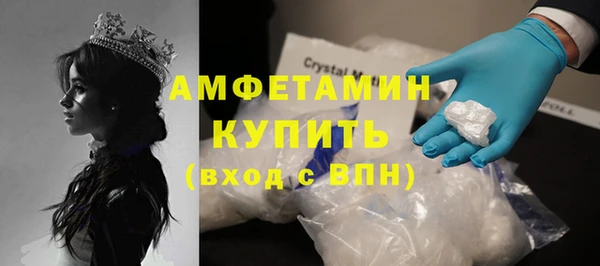 СК Алексин