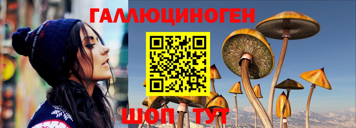 Заводоуковск  Галлюциногенные грибы мицелий  Вход с VPN 